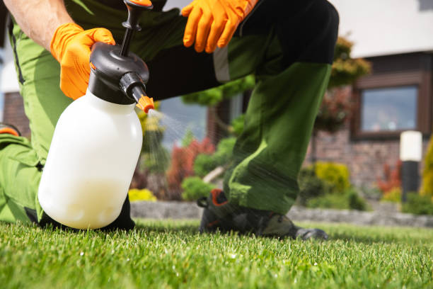 Professional Pest Control in Crandon Lakes, NJ