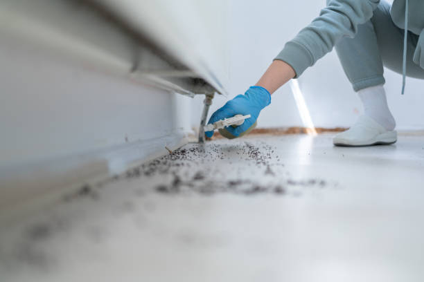 Wasp Removal Services in Crandon Lakes, NJ